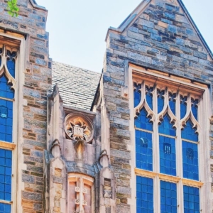 American University
