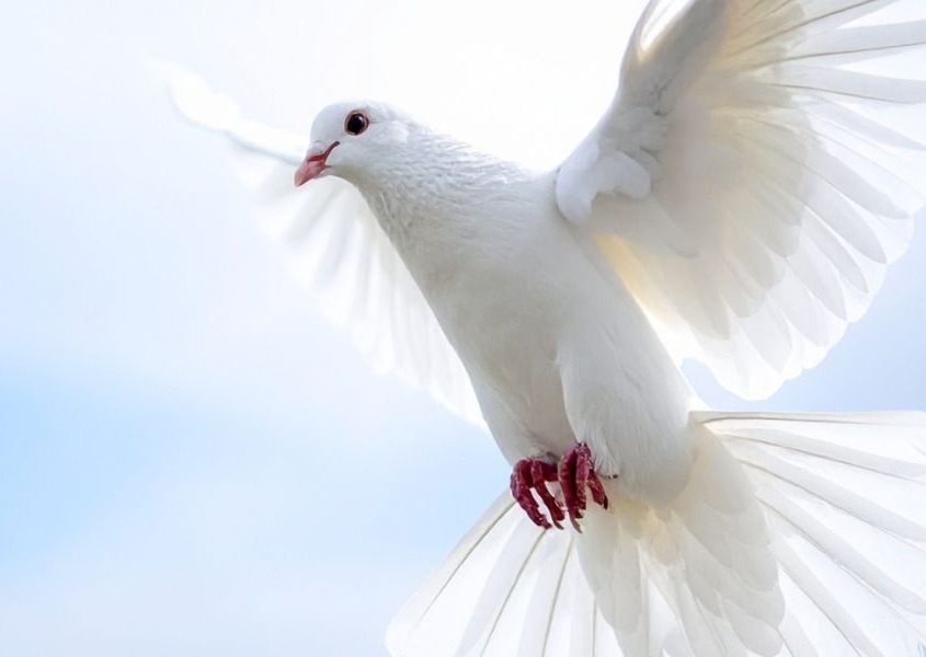 Holy Spirit Ruach HaKodesh